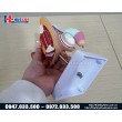 Mô hình bệnh lý hệ sinh dục nam giới